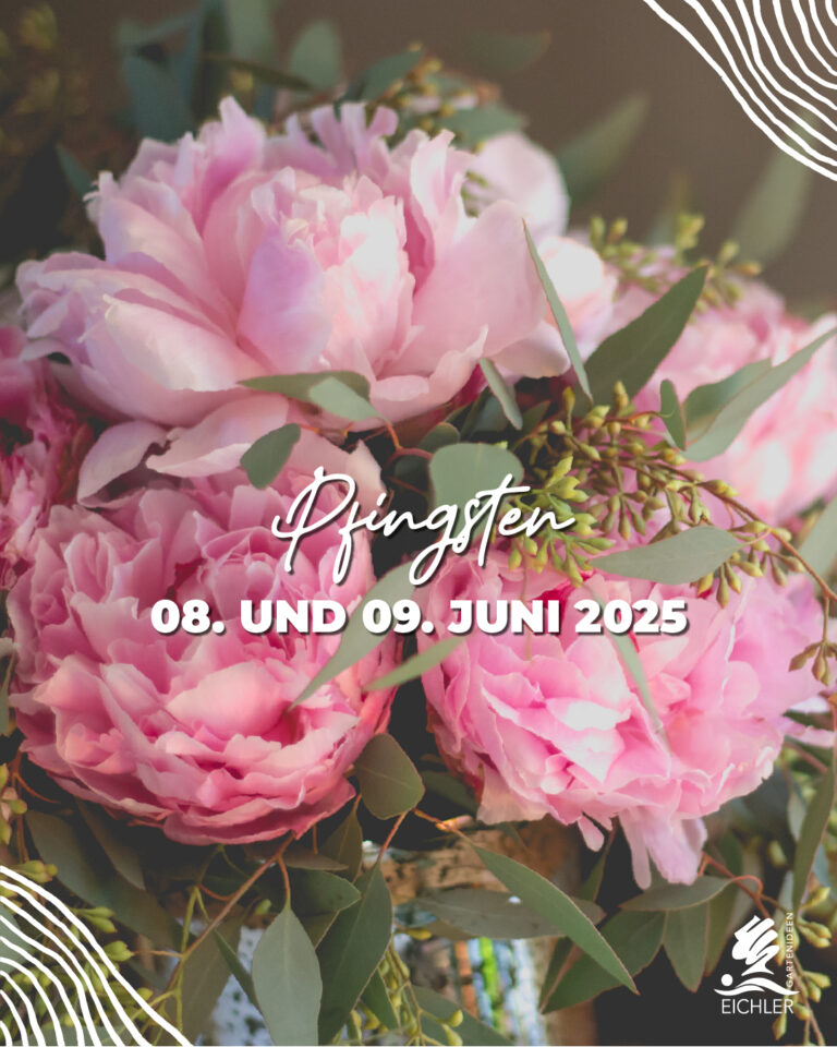 Blumen Frohe Pfingsten