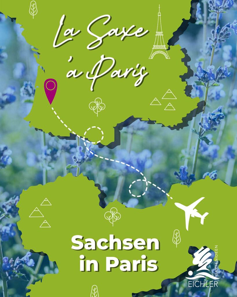 Eichler Gartenideen in Paris