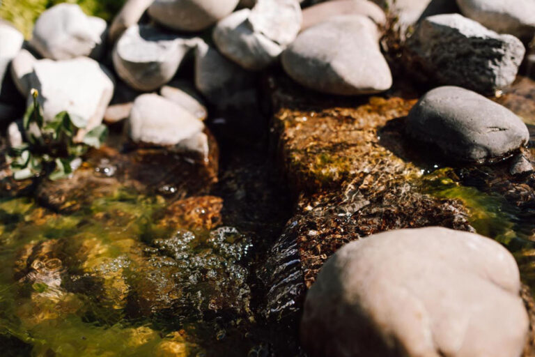 Detailaufnahme Steine im Bachlauf