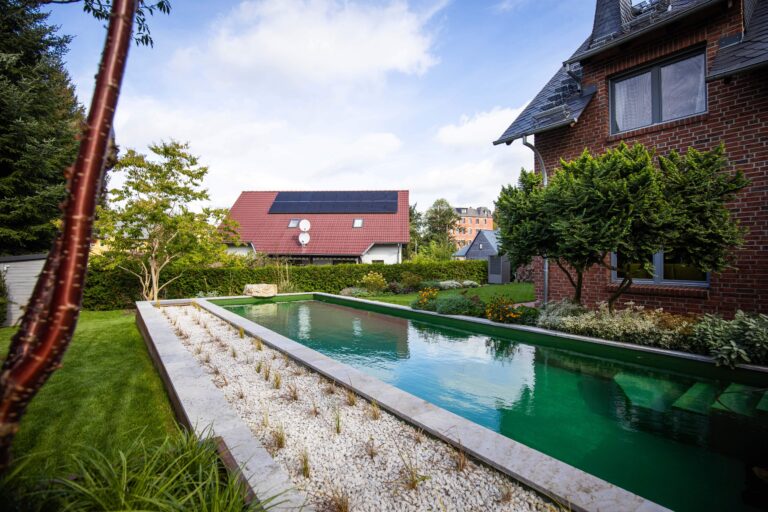 Naturpool mit Filterzone