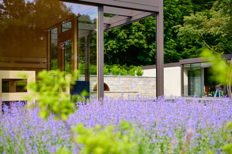 Lavendelfeld neben Sauna