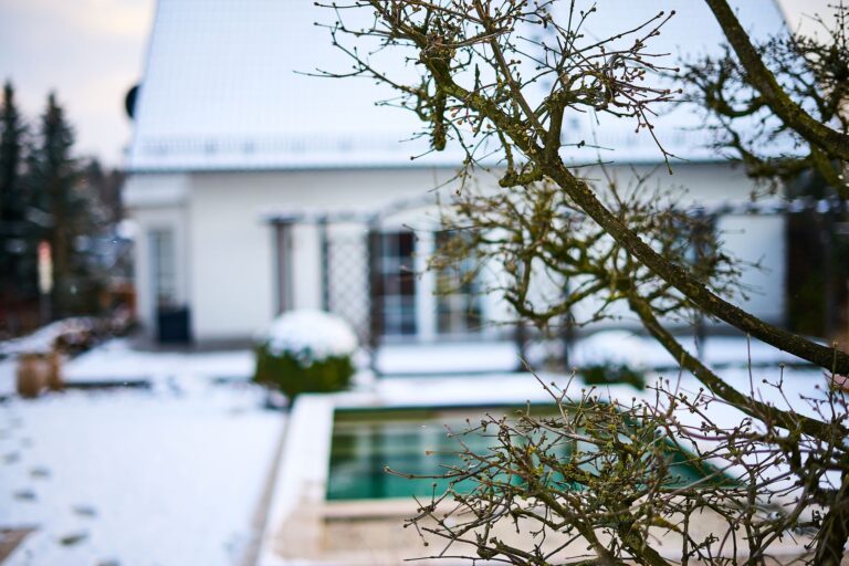 Garten und Naturpool im Winter