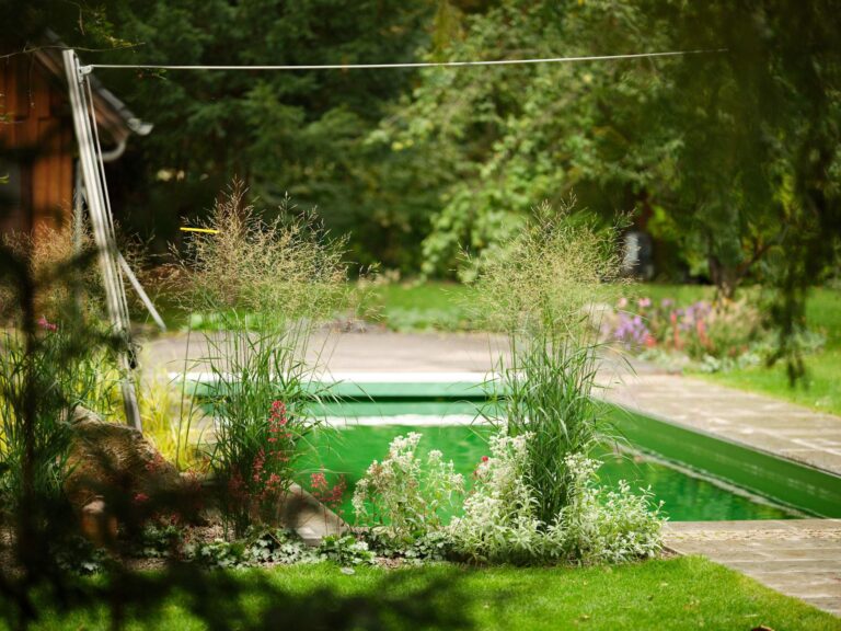 Naturpool mit Bepflanzung im Vordergrund