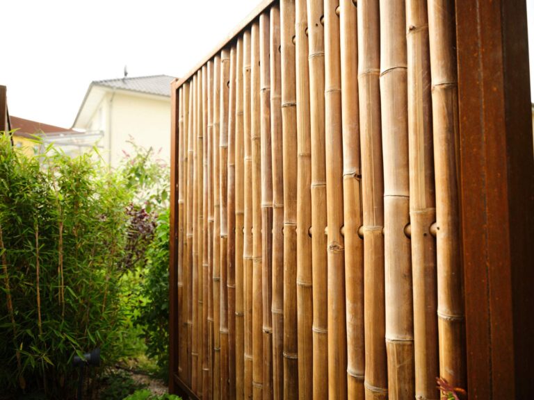 Bambus Sichtschutz