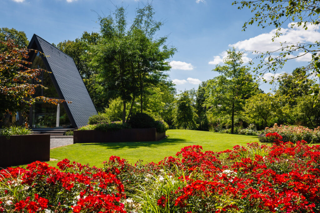 Blick in den Garten mit Blumen im Vordergrund