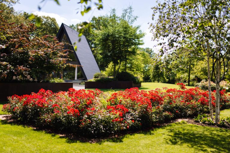 Blick in den Garten mit Blumen im Vordergrund