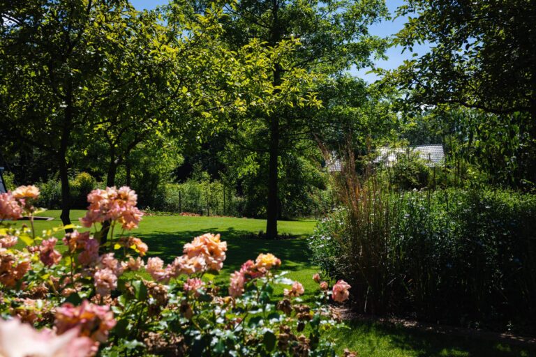 Blumen und Bäume im Garten