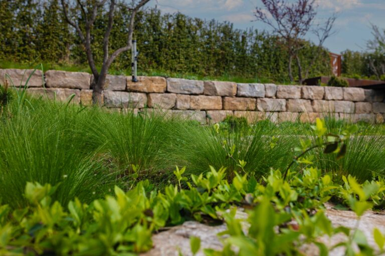 Bepflanzung und Gräser