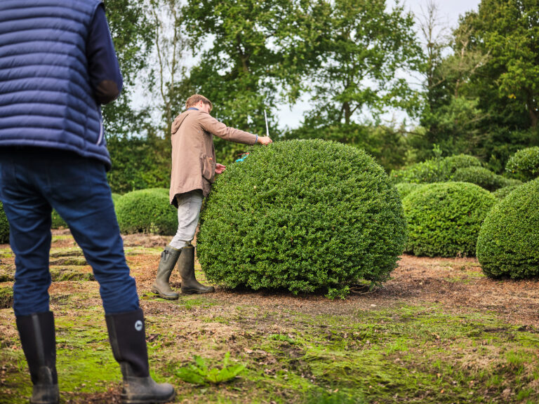 Baumauswahl in Bruns Baunschule