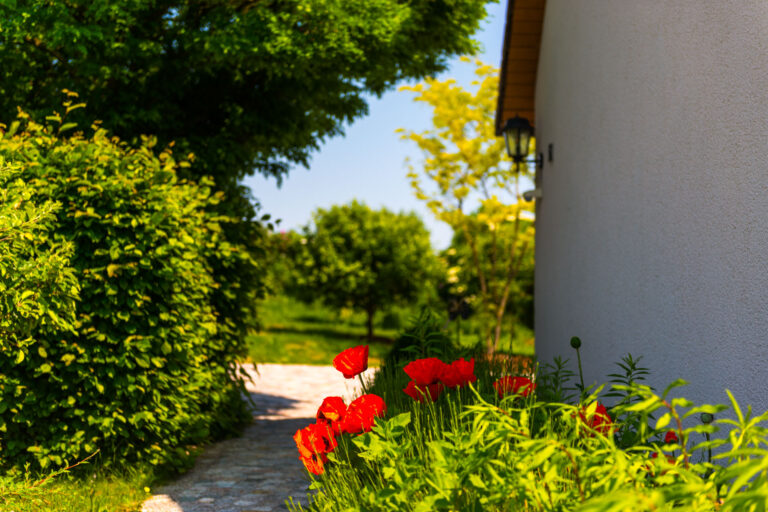 Weg in den Garten mit Blumen