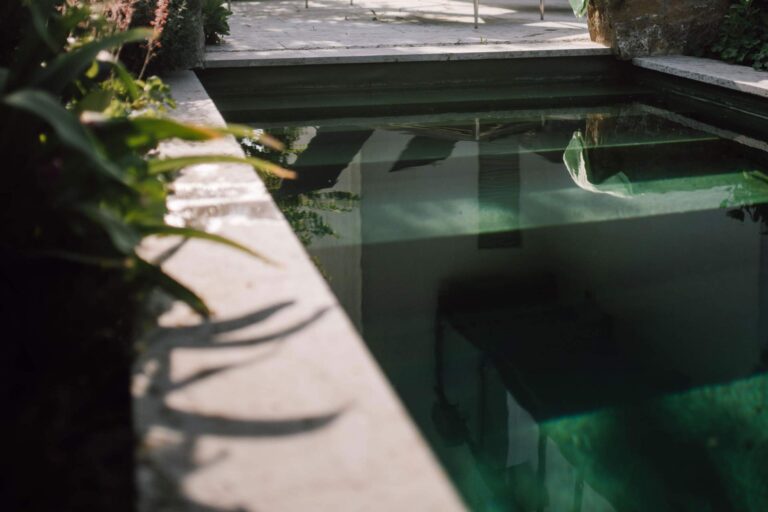 Nahaufnahme Naturpool mit Treppe