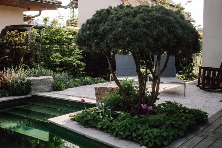 Naturpool und Holzterrasse