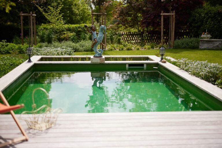 Naturpool mit Filterzone