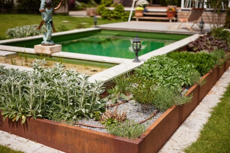 Bepflanzung um den Naturpool