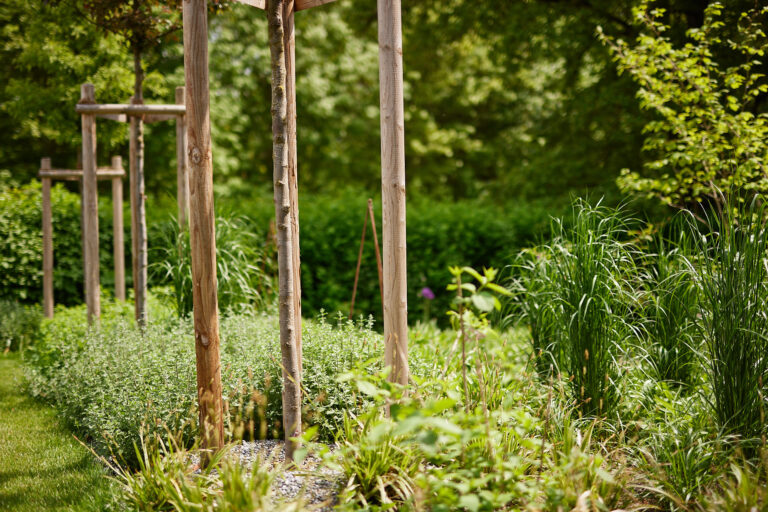 Bepflanzung im Garten