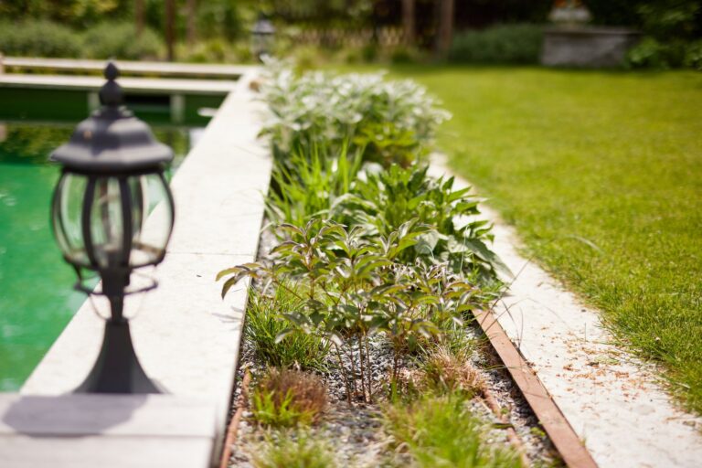 Bepflanzung am Naturpool, kleine Büsche