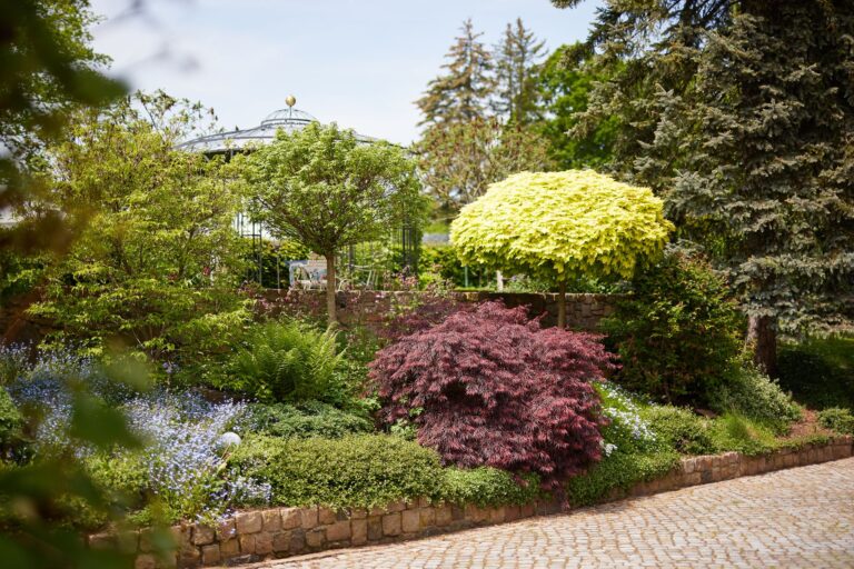 Gelbe und weinrote Büsche und Bepflanzungen