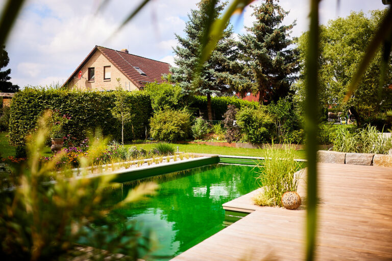 Treppe in den Naturpool