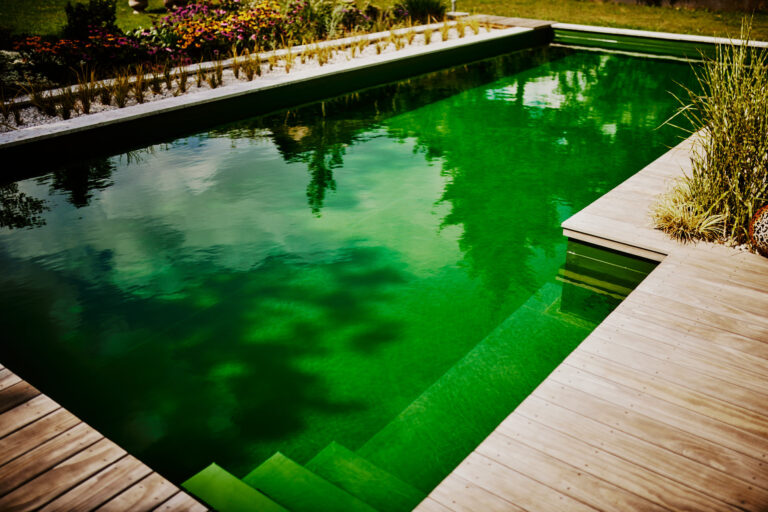 Treppe in den Naturpool