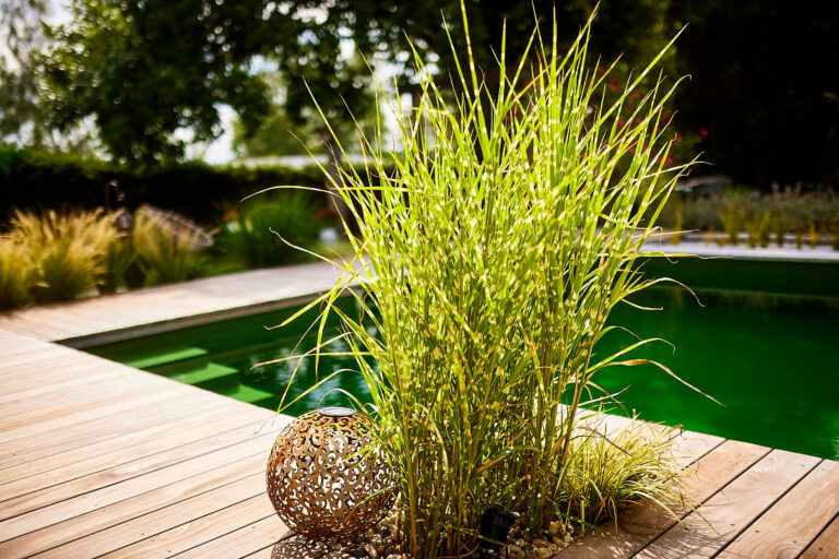 Dekoelemente auf der Holzterrasse
