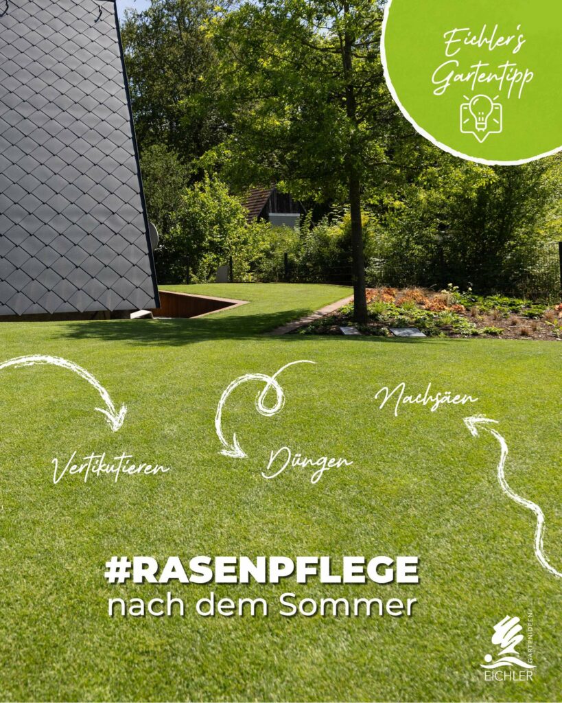 Eichlers Gartentipp. Rasenpflege Grafik