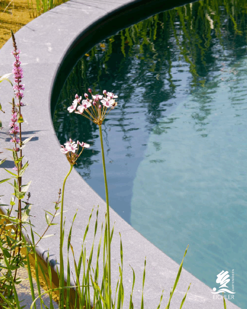 Aqua-Diamante-Pool mit natürlich blauem Wasser