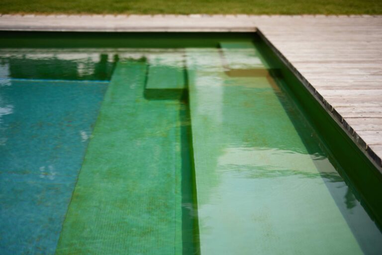 Einstiegstreppen in den Naturpool