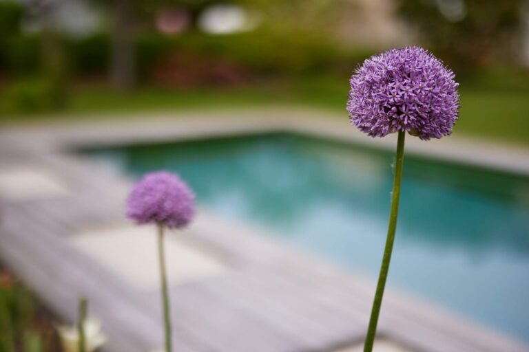 Bepflanzung im Garten