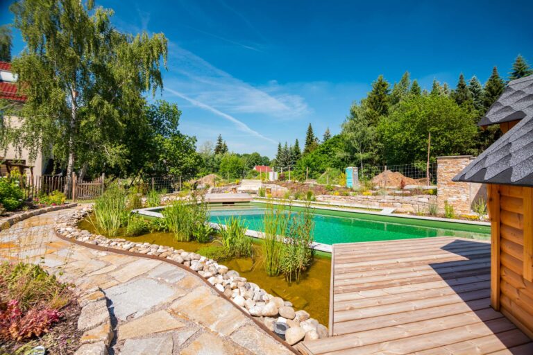 Naturpool mit Holzterasse