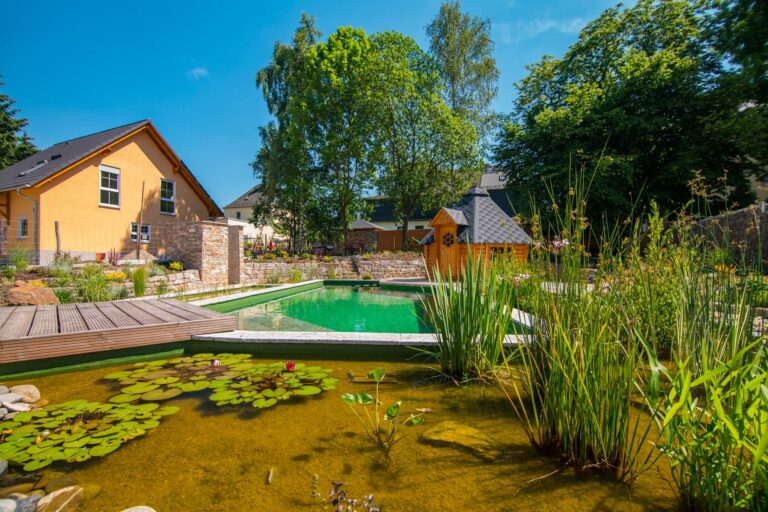 Naturpool mit Filterzone