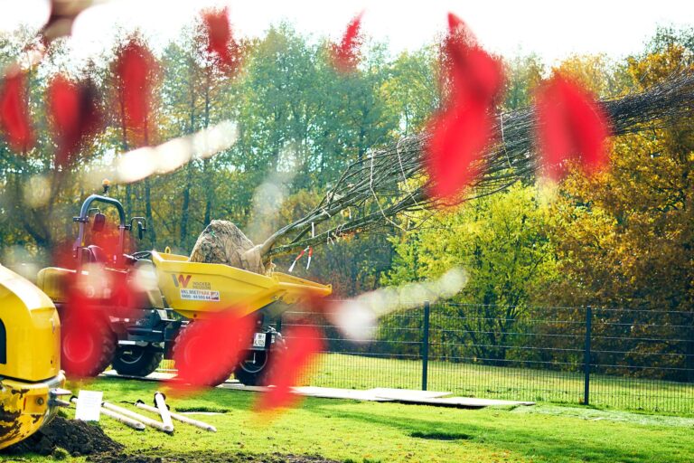 Anlieferung von Solitärgehölzen