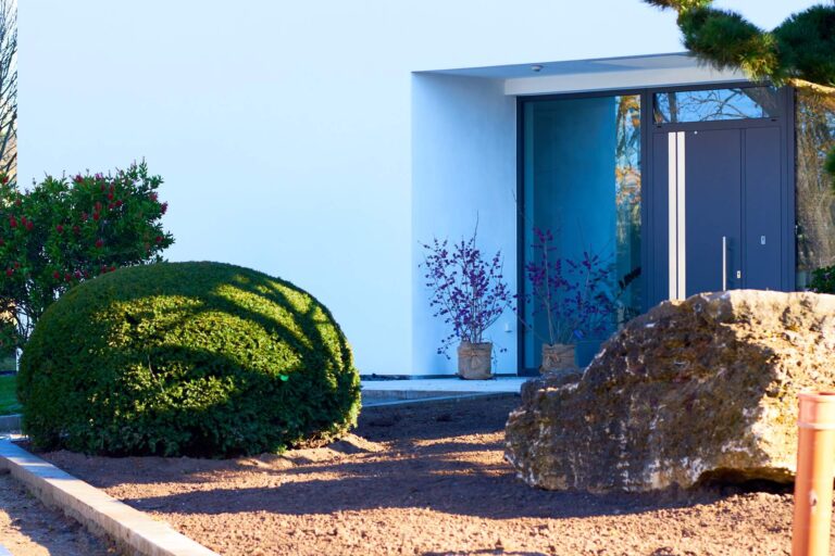 immergrüne Eibenkissen