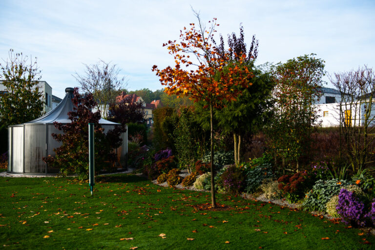 Herbstoptik im Garten