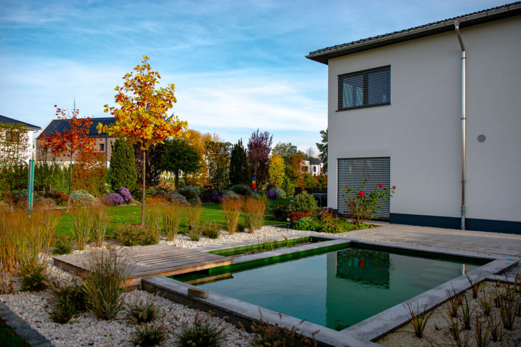Naturpool im Herbst