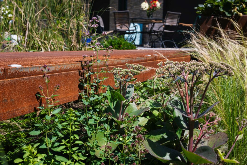 Pflanzen und Corten Stahl