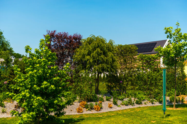 Hügelbepflanzung zum Sichtschutz