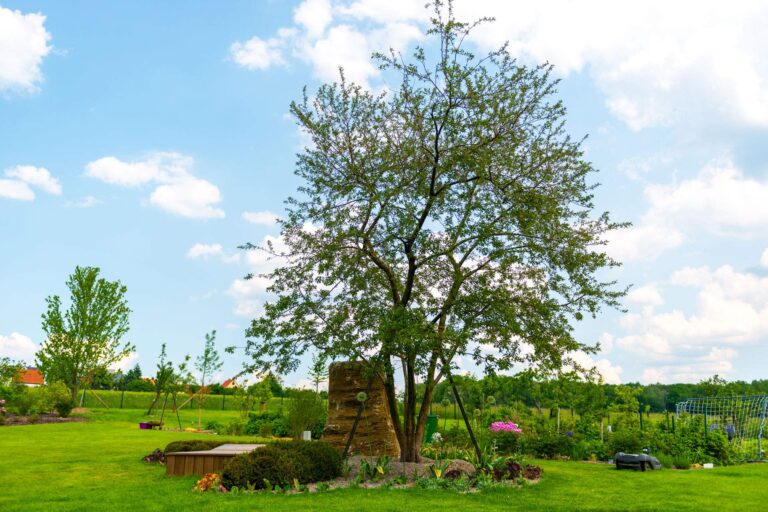 Findling aus Muschelkalk