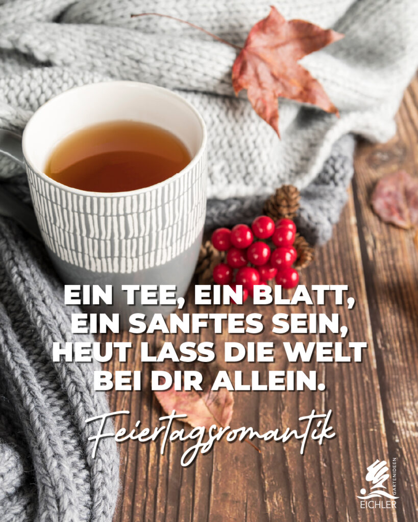 Feiertagsromantik zum 19.11.25