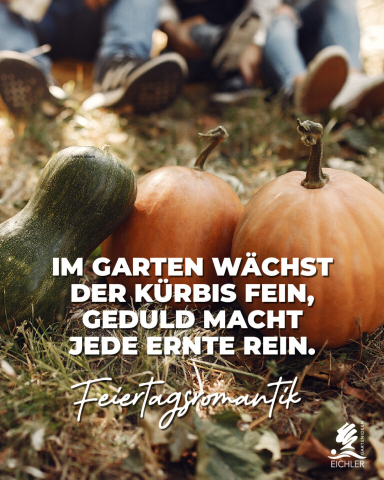 Bild zum Feiertag