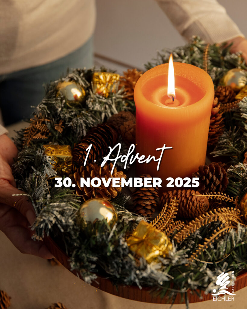 erster Advent 2025