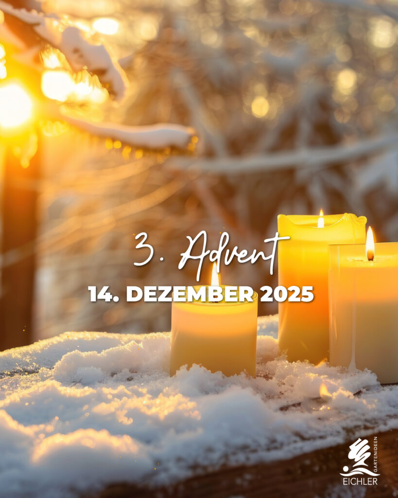 dritter Advent