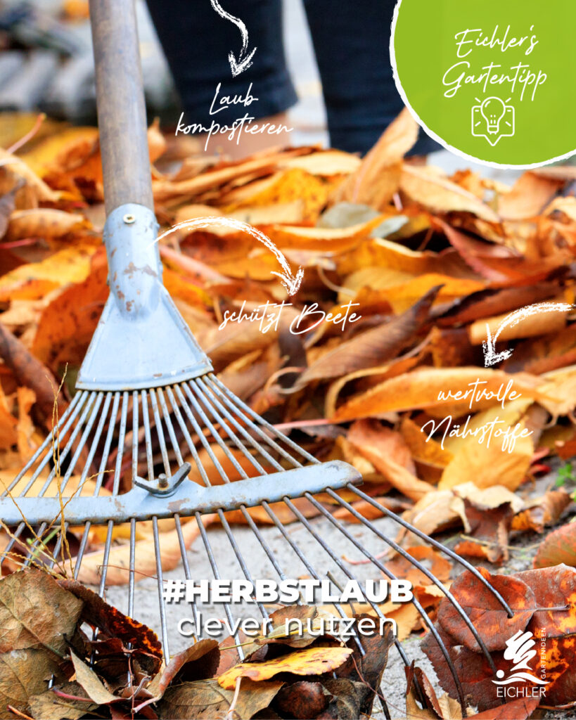 Herbstlaub clever nutzen