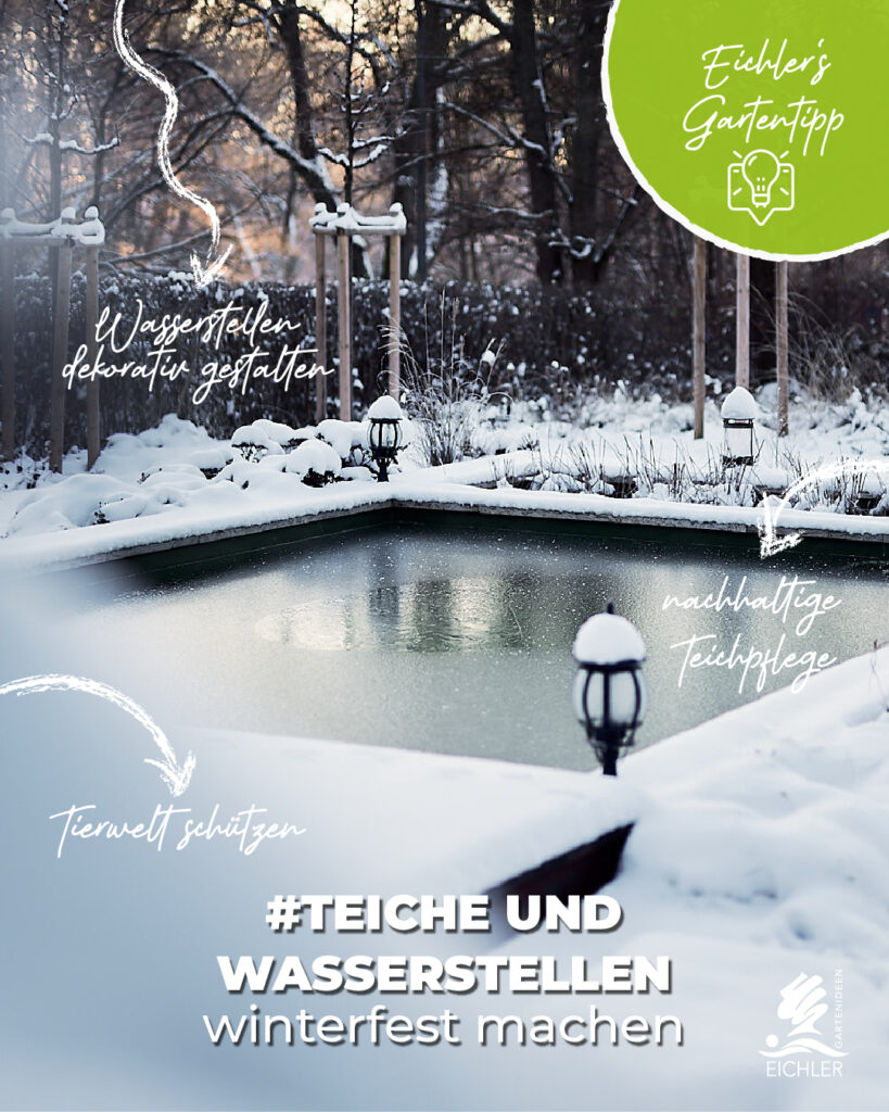 Gartentipp im Winter