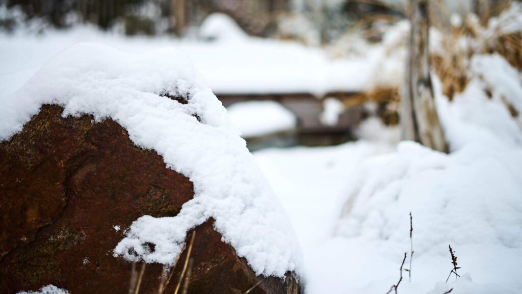Steine und Stauden mit Schnee