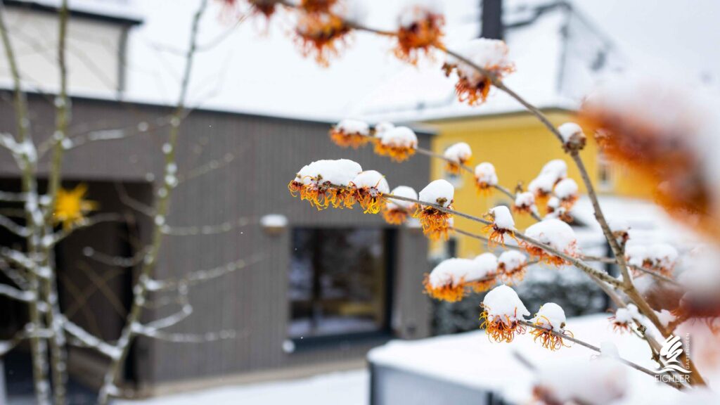 Eichler Gartenideen Projekt im Winter, schneebedeckte orangene Blume