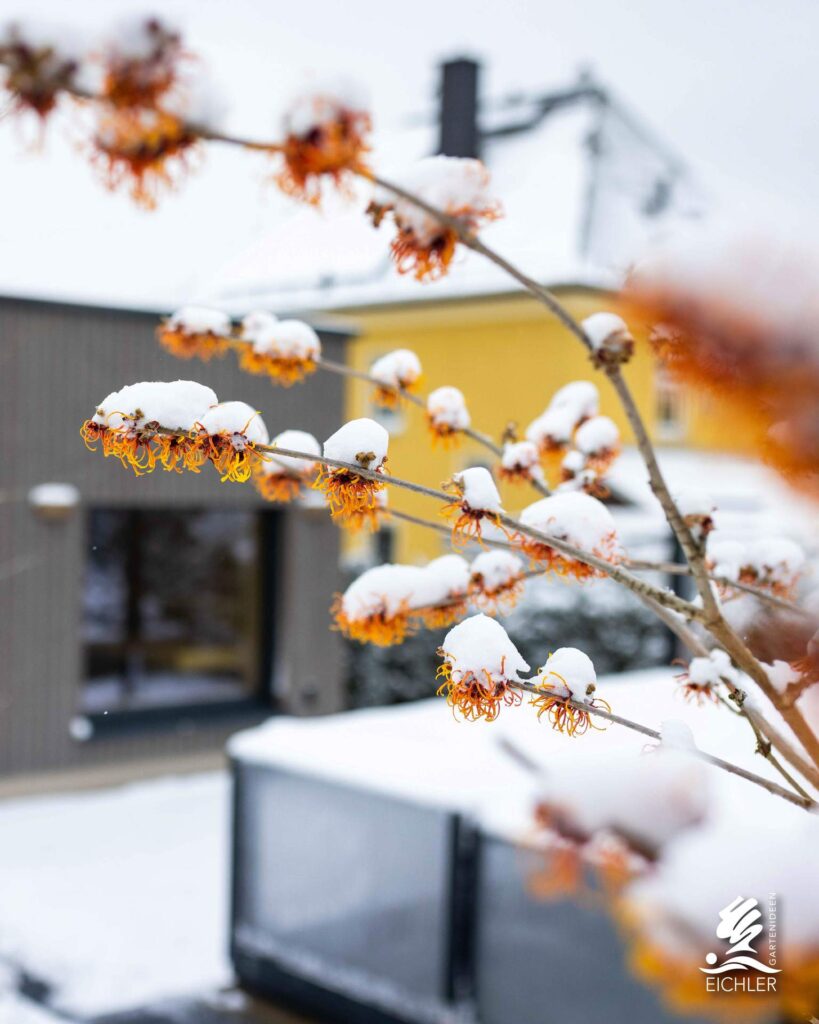 Eichler Gartenideen Projekt im Winter