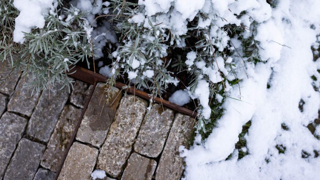 Vogelperspektive auf Schneebedeckte Stauden und Naturstein