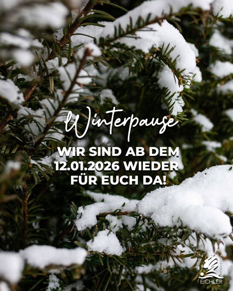 Winterpause, ab dem 12.01.2026 ist wieder geöffnet. Bild von schneebedeckten Sträuchern