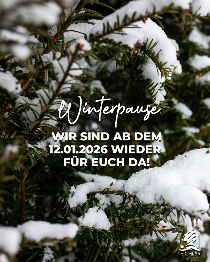 Winterpause, ab dem 12.01.2026 ist wieder geöffnet. Bild von schneebedeckten Sträuchern