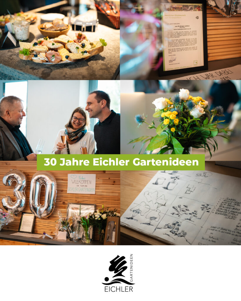 Collage mit Bildern der Jubiläumsfeier (Blume, Zeichnungen, lachende Gäste)